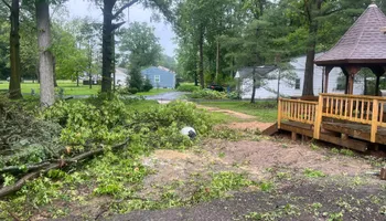 Tree Removal for Down To Earth Tree Service, LLC in Westlake, OH