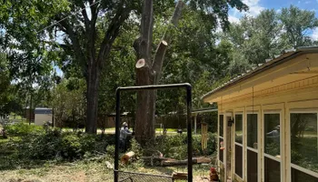 Tree Removal for JC Land and Tree Service in Kilgore, TX