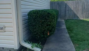 Mowing for Prime Landscaping 219 in Lake Station, IN