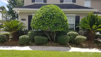 Lawn Maintenance for Marty's Lawn Service in Green Cove Springs, FL