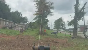 Tree Removal for Complete Care in Cumberland Gap, TN