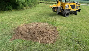 Stump Removal for Conrad's Stump Removal in Columbus, IN