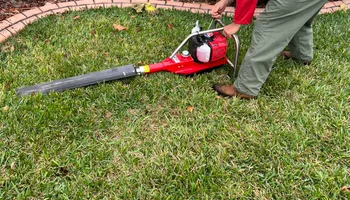 Tree Removal for TREE BOYS in Ruskin, FL