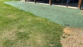 Hydroseeding for Holland Hydroseeding LLC in Columbia, MS