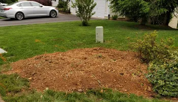 Tree Removal for W D Giampa Lawns and Landscape Inc. in Independent Hill, VA