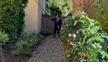 Holiday Lighting for Elite Shine Property Services: The #1 Choice for Window & Exterior Cleaning in South OC in Orange county, CA