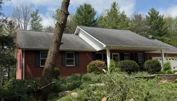 Tree Removal for Kadin’s Tree Service in North Vernon, IN