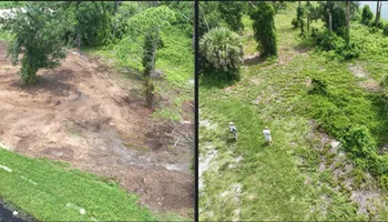 Forestry Mulching for SWF Land Clearing Solutions in Fort Myers, FL