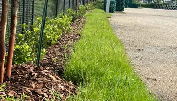 Commercial Property Maintenance for Jacksonville Outdoors in Jacksonville, FL