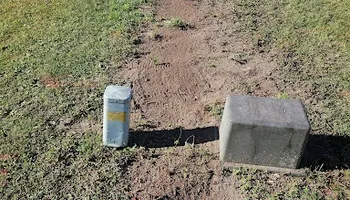 Stump Grinding for Anchor & Grind Stump in Chesapeake, VA