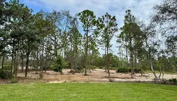 Land Clearing & Demolition for All American Excavating Inc in Brooksville,  FL