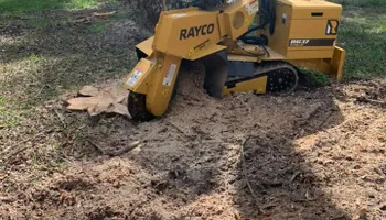 Tree Removal for Alford’s Tree and Stump Services LLC in Lake City, FL