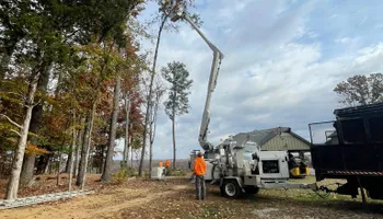 Tree Removal for Ross Family Tree Service LLC  in Hohenwald, TN