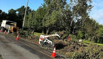 Tree Removal for Melnyk’s Tree Service in Salem County, NJ