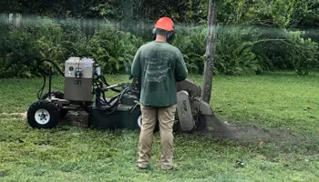 Paint and Rust Removal   for ASP Surface Preparation in Plantation, FL