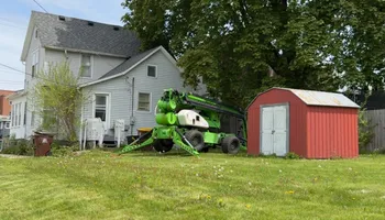 Tree Removal for Fransen's Tree Service  in Freeport, IL