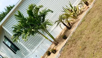 Stump Grinding for Rize N’ Grind  in Punta Gorda, FL