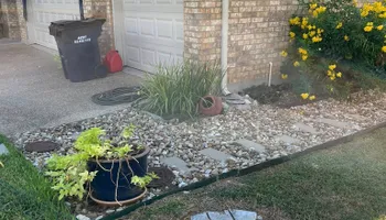 Tree Removal for Oakley’s Stump ‘N Grind in Leander, TX