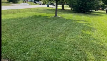 Tree Trimming for Wright Lawn Services in Ozark, MO