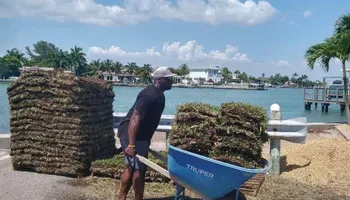 Landscape Design for Team Tolson Landscape in Tampa Bay, FL
