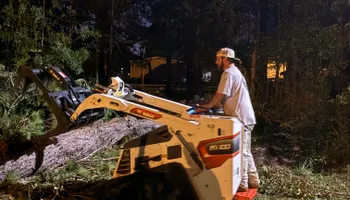 Tree Removal for Hawkins Tree Service & Land Management in Richmond Hill, GA