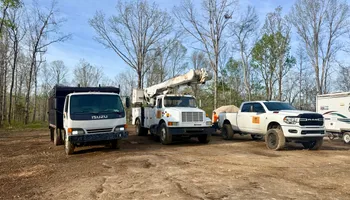 Tree Removal for Ross Family Tree Service LLC  in Hohenwald, TN