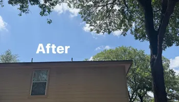 Tree Removal for Z’s Trees LLC in Grey Forest, TX
