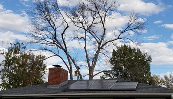 Tree Risk Consultation for Beetle Busters LLC in Centennial, CO