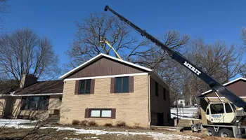 Tree Removal for Fransen's Tree Service  in Freeport, IL