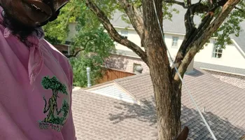 Tree Removal for Marvelous Marvin's Tree Care in Garland, TX