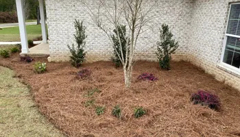 Mowing for Grasshopper's Lawn and Landscape  in Fairhope, AL