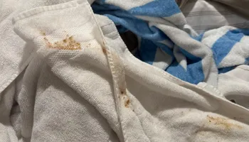 Residential Cleaning for A+ Cleaning and Services LLC in Deep Creek Lake, MD 