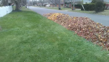 Tree Removal for Etherton’s Tree Service in Quinton, NJ