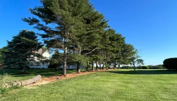 Tree Removal for Etherton’s Tree Service in Quinton, NJ