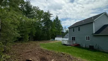Tree Removal for Leaf and Limb in Townsend, MA