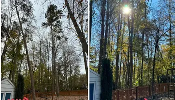 Tree Removal for Meade tree service in Greensboro, NC
