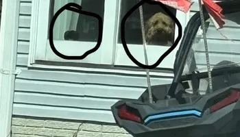 Commercial Cleaning for Busy B's Professional Cleaning in Birch Run, MI