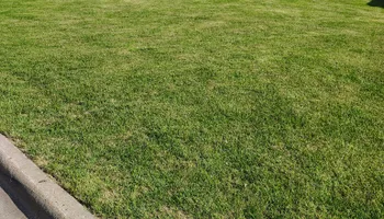 Tree Removal for Big River lawn Care services and snow LLC in Wausau, WI