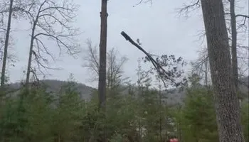 Tree Removal for Complete Care in Cumberland Gap, TN