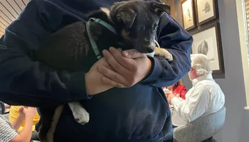 Plumbing Remodels for Mr. Pipe Dreams LLC in Colorado Springs, CO