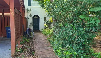 Fall and Spring Clean Up for Curb Appeal Lawn Care LLC. in Gulfport, FL