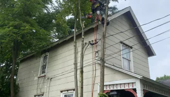 Tree Removal for Licensed to Cut in Athens, PA