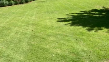 Mowing for Bega Landscape Services in Atlanta, Georgia