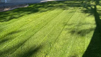 Shrub Trimming for Revolution Landscape Construction in Mesa, AZ