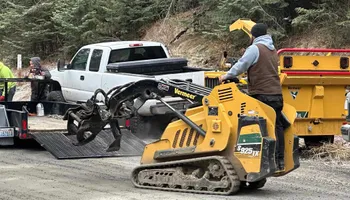 Tree Removal for King & Sons Urban Forestry in Coeur d'Alene, ID