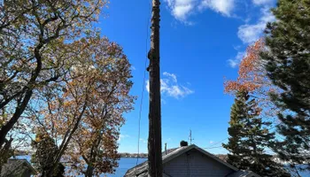Tree Removal for Native Roots Tree Service in Falmouth, MA
