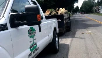Tree Removal for Mays Tree and Stump Removal in Alden, NY
