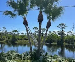 Mowing for Greener Horizons Landscape Management in Port St. Lucie, FL