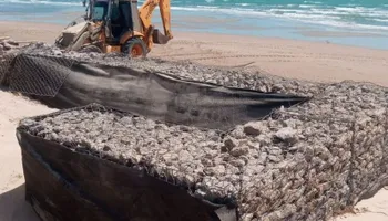 New Seawall Construction for Lad’s Coastal Construction in Flagler Beach, FL