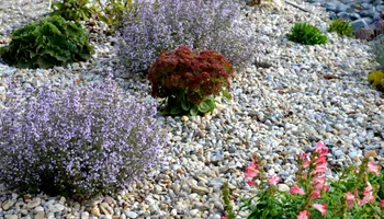 Lawn Maintenance for WD Lawn Services in Loganville, GA